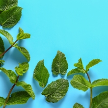 Cargar imagen en el visor de la galería, Fragancias,esencias,aromas