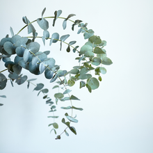 Cargar imagen en el visor de la galería, Fragancias,esencias,aromas
